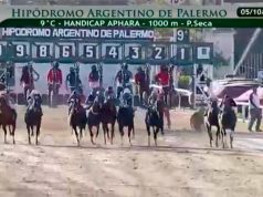 APHARA Así fue el desarrollo del Hándicap APHARA 75º Aniversario en Palermo