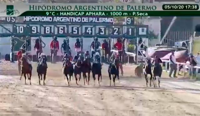 APHARA Así fue el desarrollo del Hándicap APHARA 75º Aniversario en Palermo