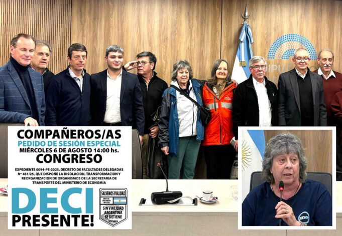 VIALES: ALEÑA expuso en Comisión y llamó a luchar en la sesión especial del Congreso el 6 agosto